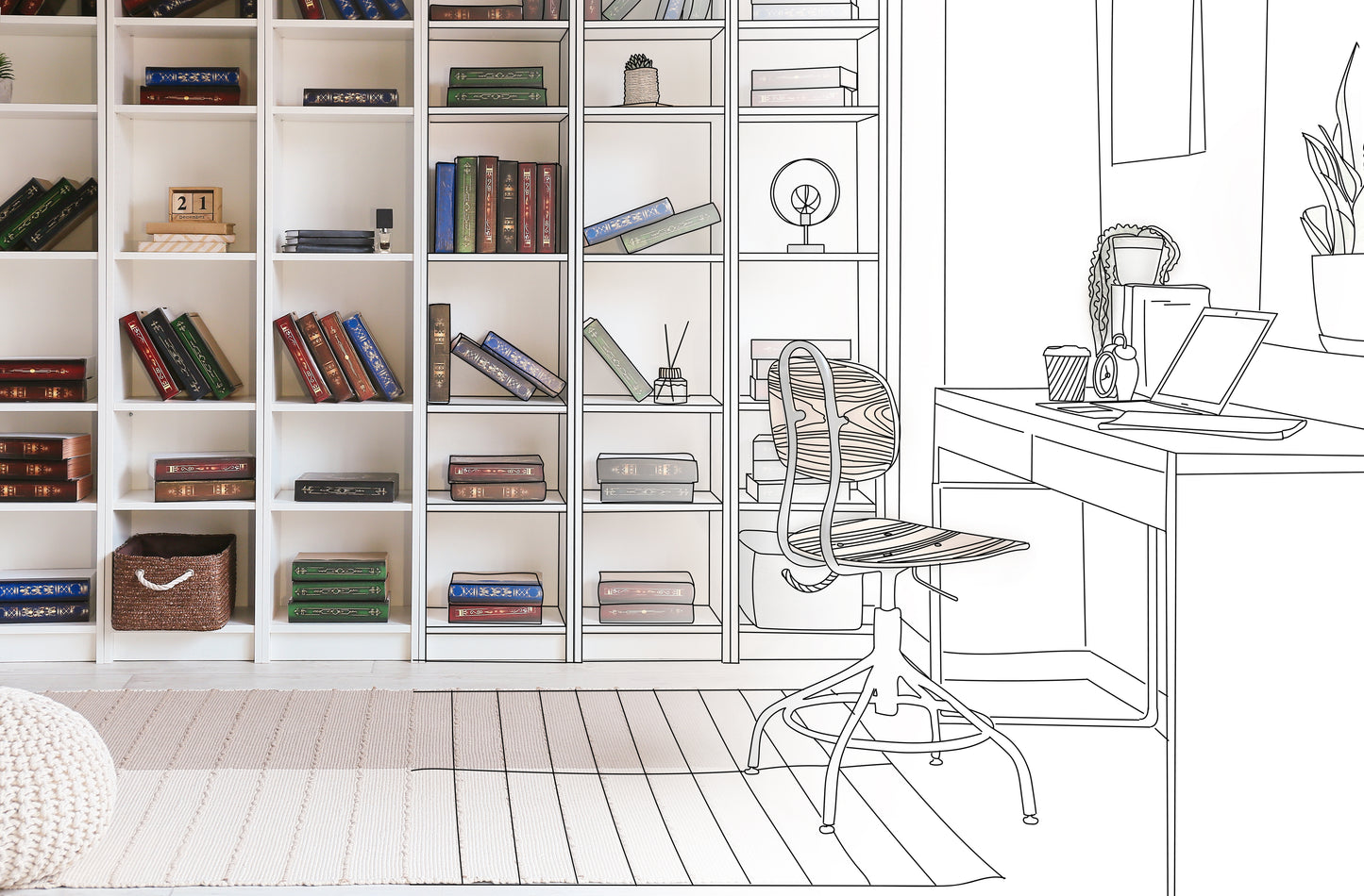 Professional Organizer Initial Consultation plan declutter